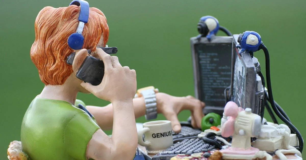 Check Assembly Code - Disasembl