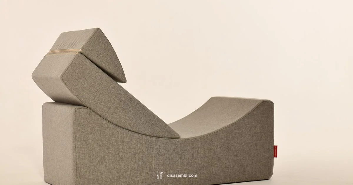 Ready to Assemble Guide - Disasembl