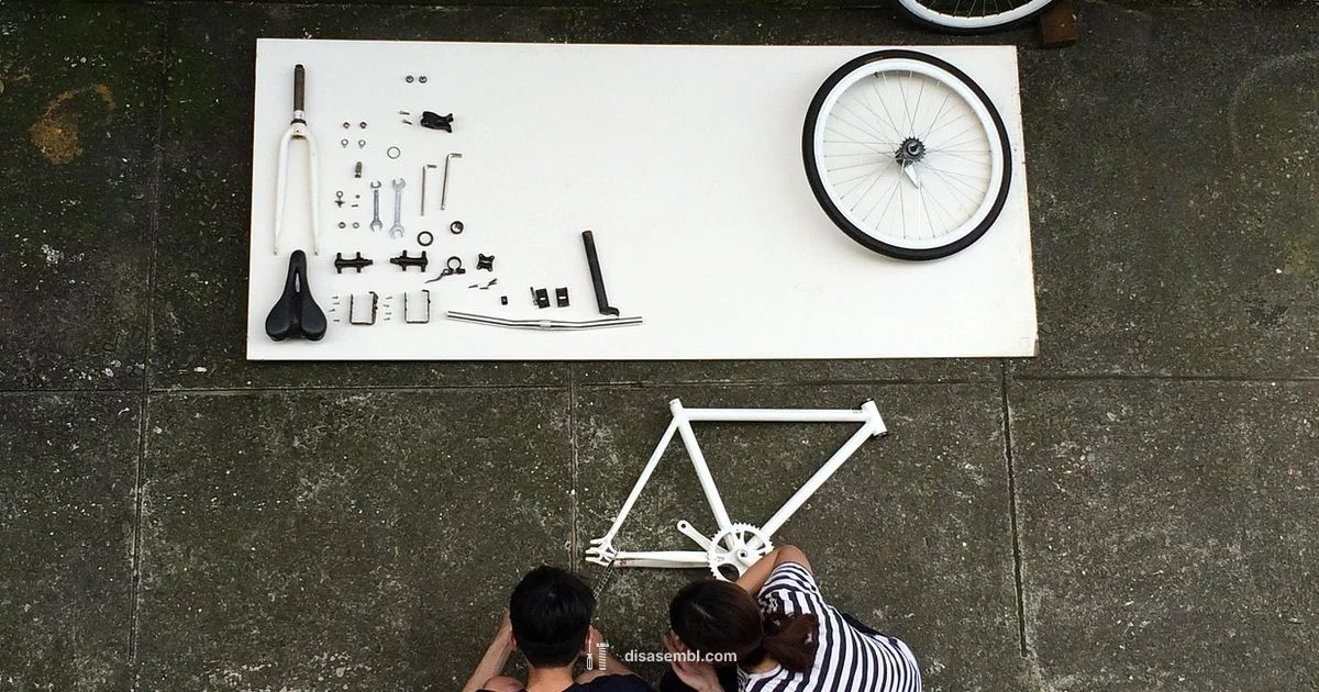 Assemble in Spanish - Disasembl