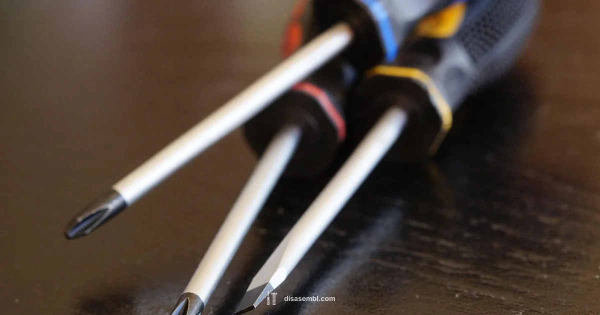 RS3 Disassembly RS3 Disassembly - Disasembl