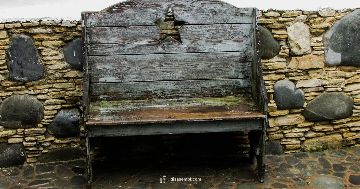 Trident Repair Guide Trident Repair Guide - Disasembl