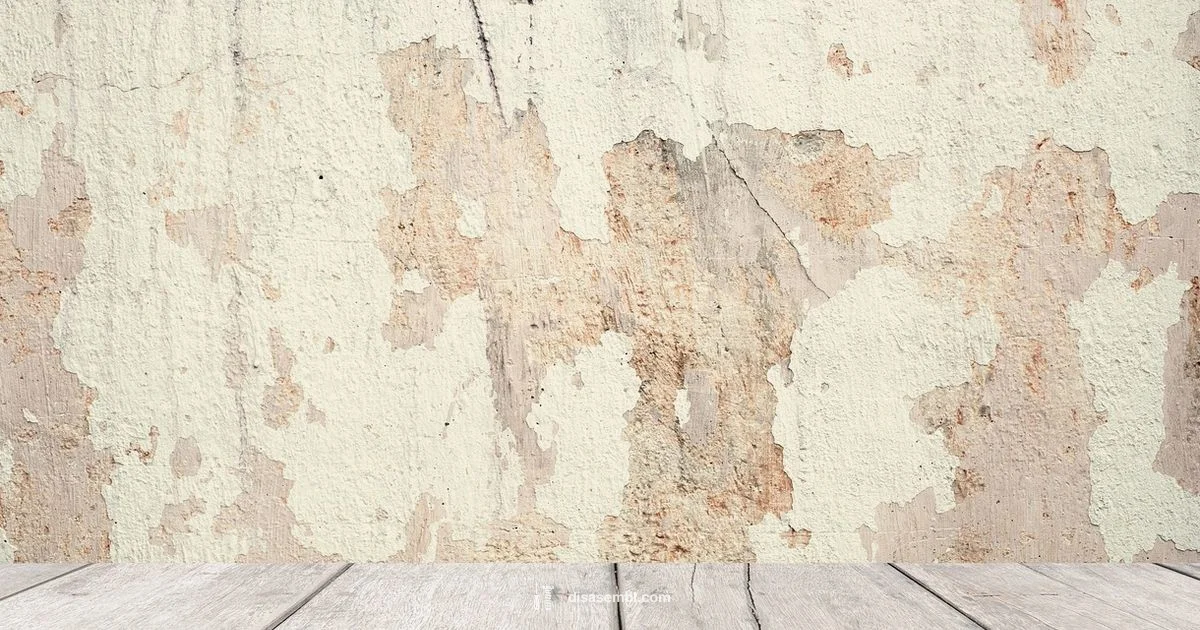 TV Mounting Guide - Disasembl