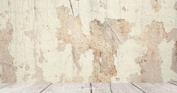 TV Mounting Guide - Disasembl