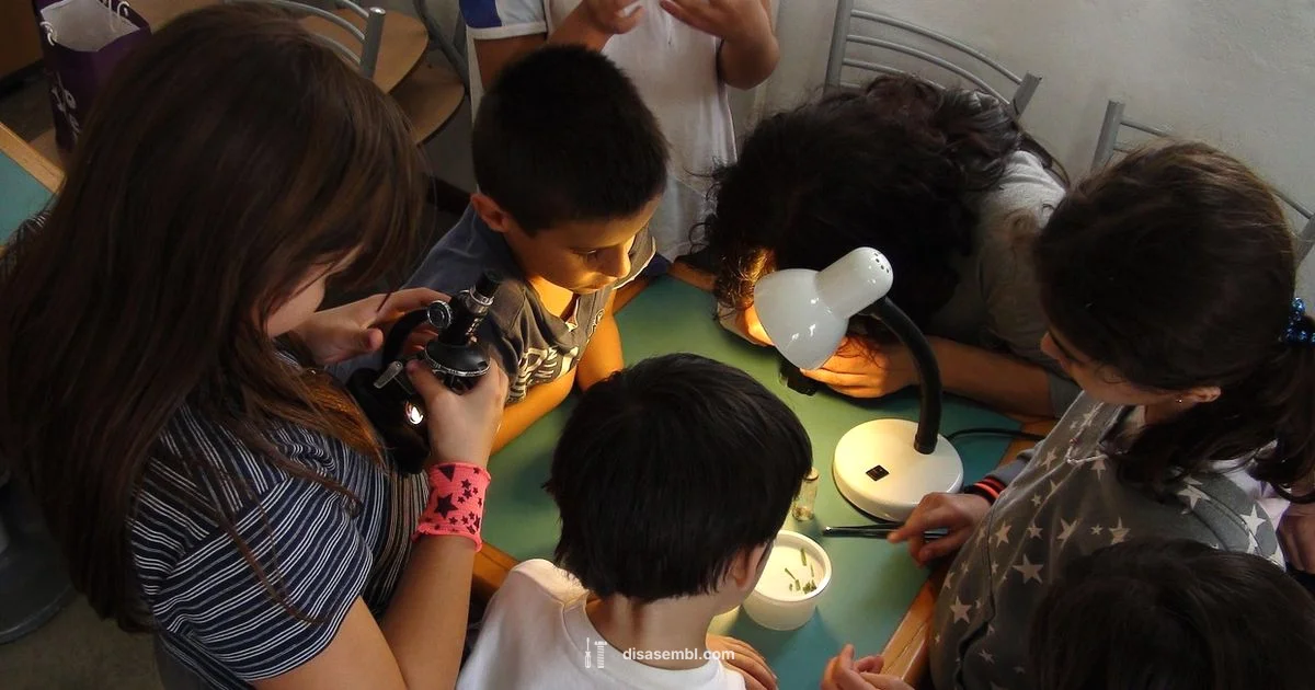 Microtubule Dynamics Explained - Disasembl