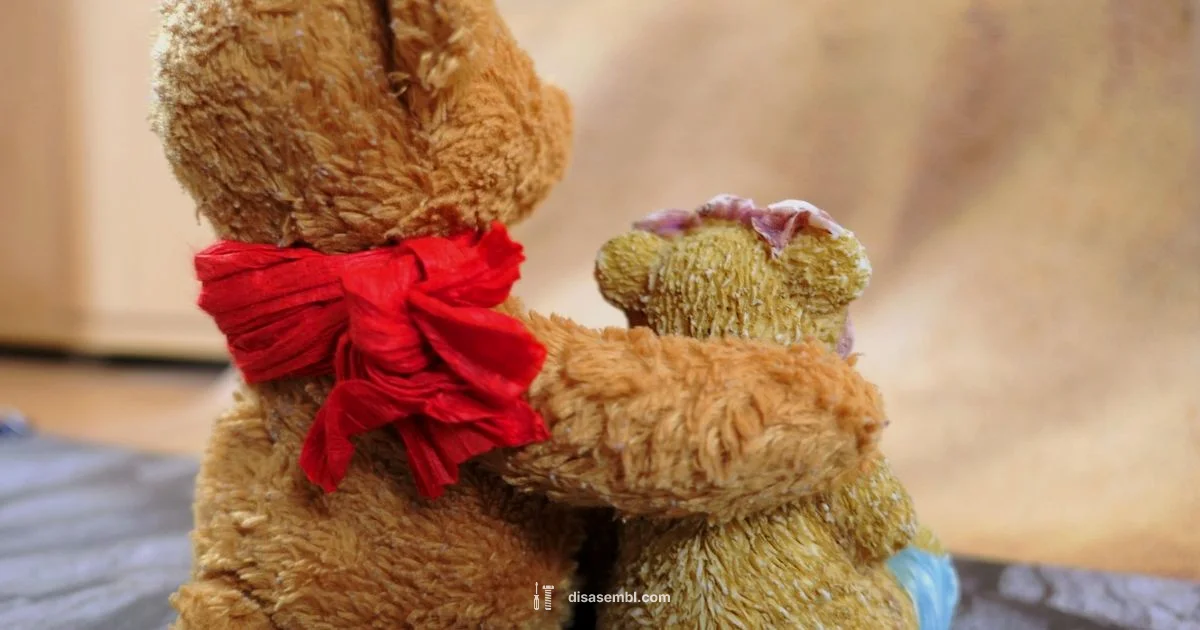 Bear Care Guide - Disasembl