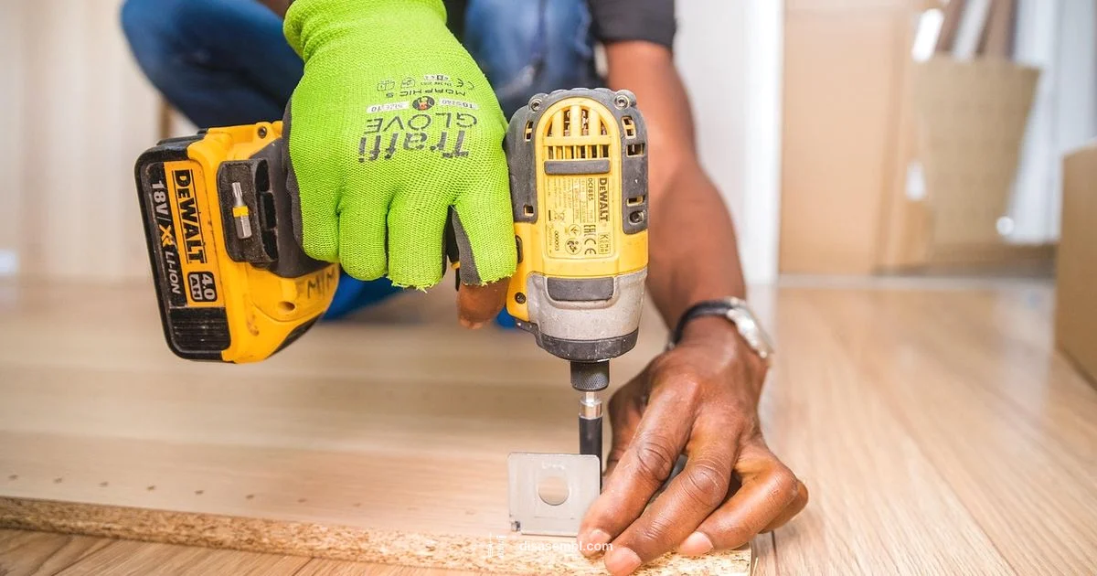 Cost Guide - Disasembl