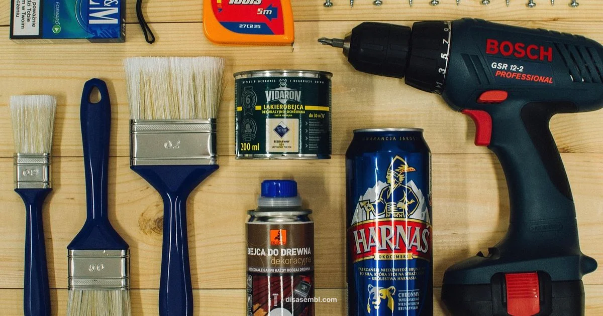 DIY Build Feasibility DIY Build Feasibility - Disasembl