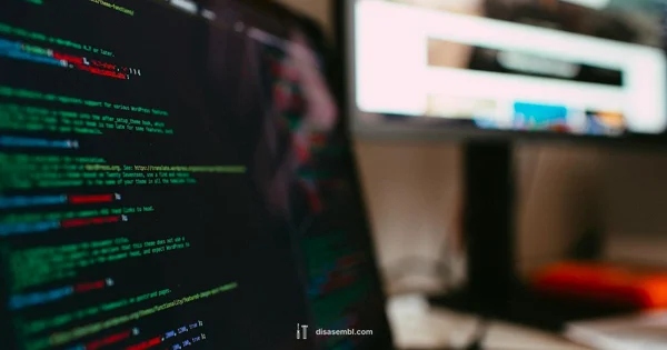 Auto Disassembler RS3 - Disasembl