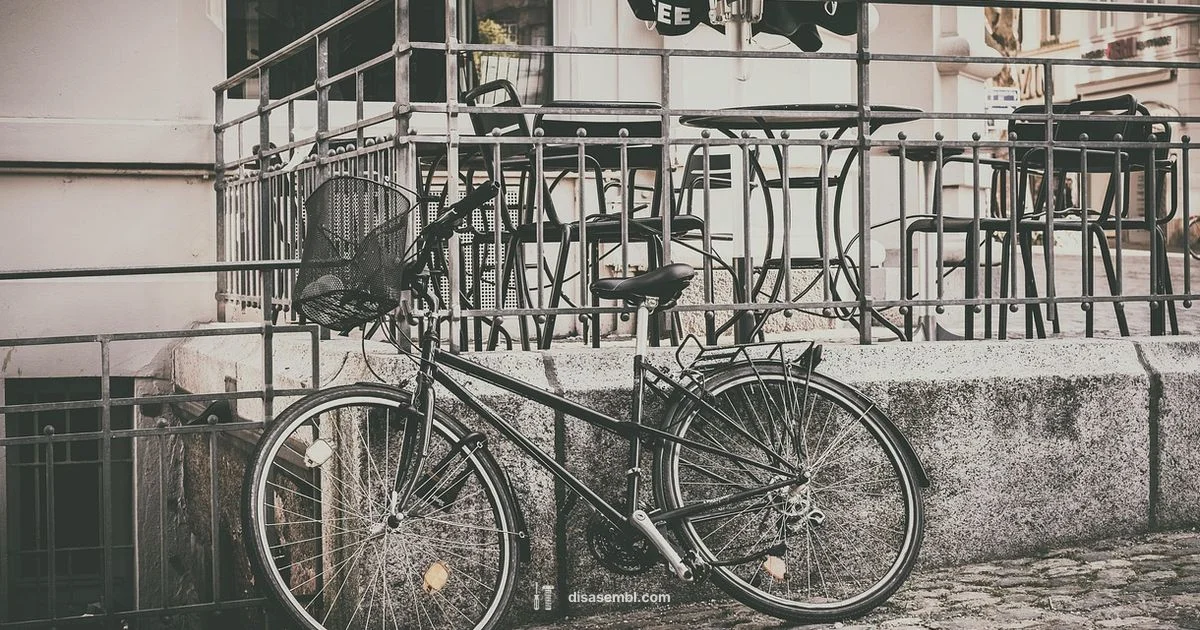 Bike Assembly Guide - Disasembl