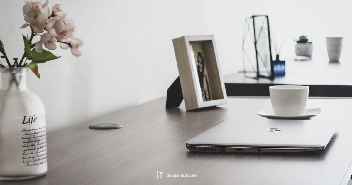 Easy Assemble - Disasembl