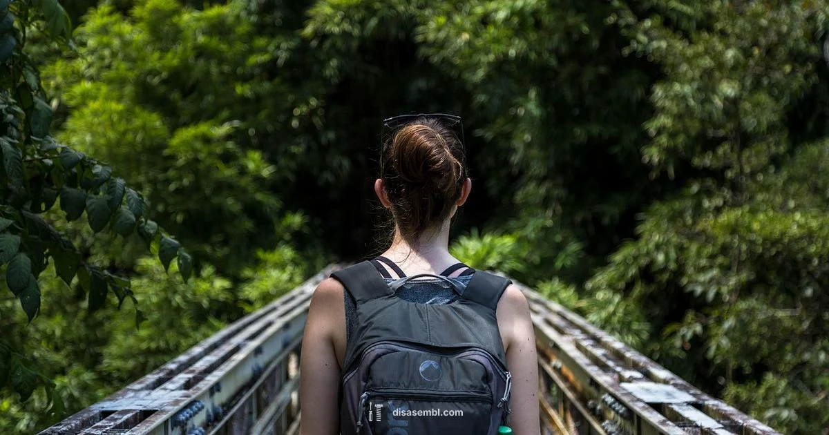 Hiking Safety - Disasembl