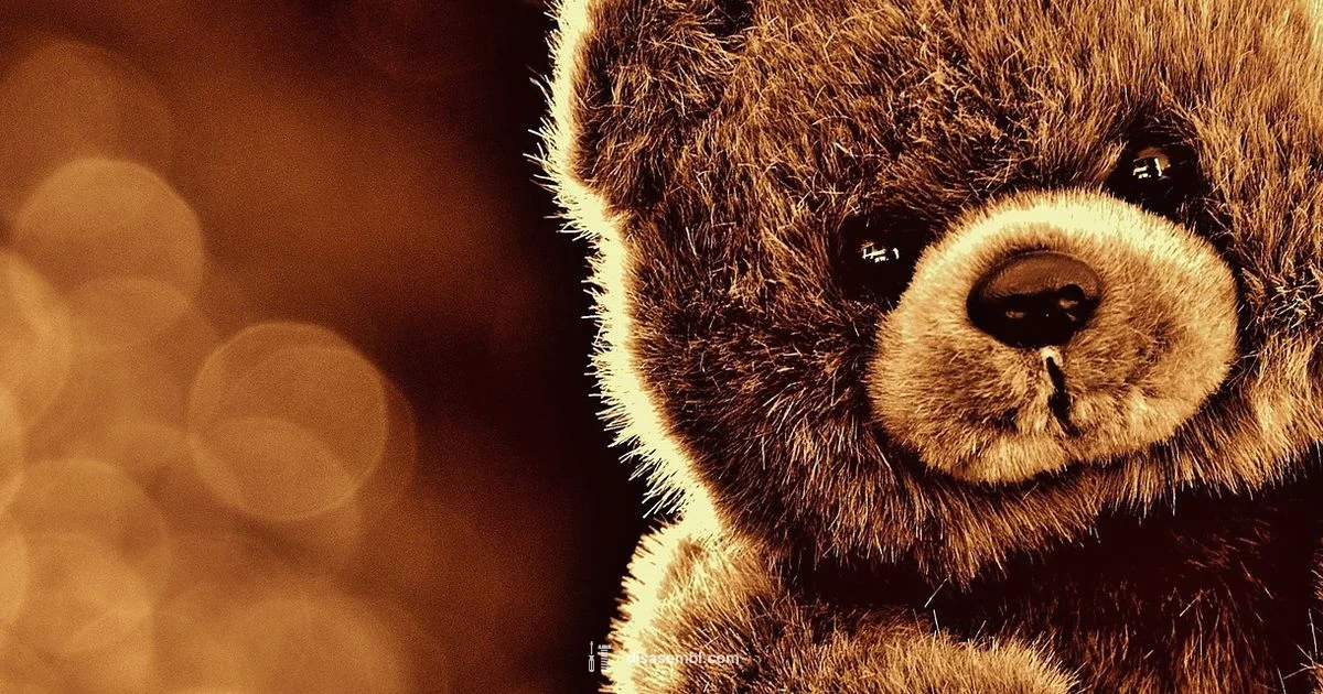 Safe Plush Care - Disasembl