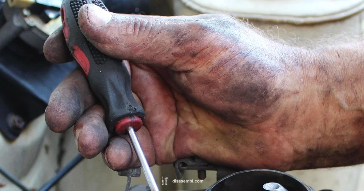 Assemble vs Assembly - Disasembl