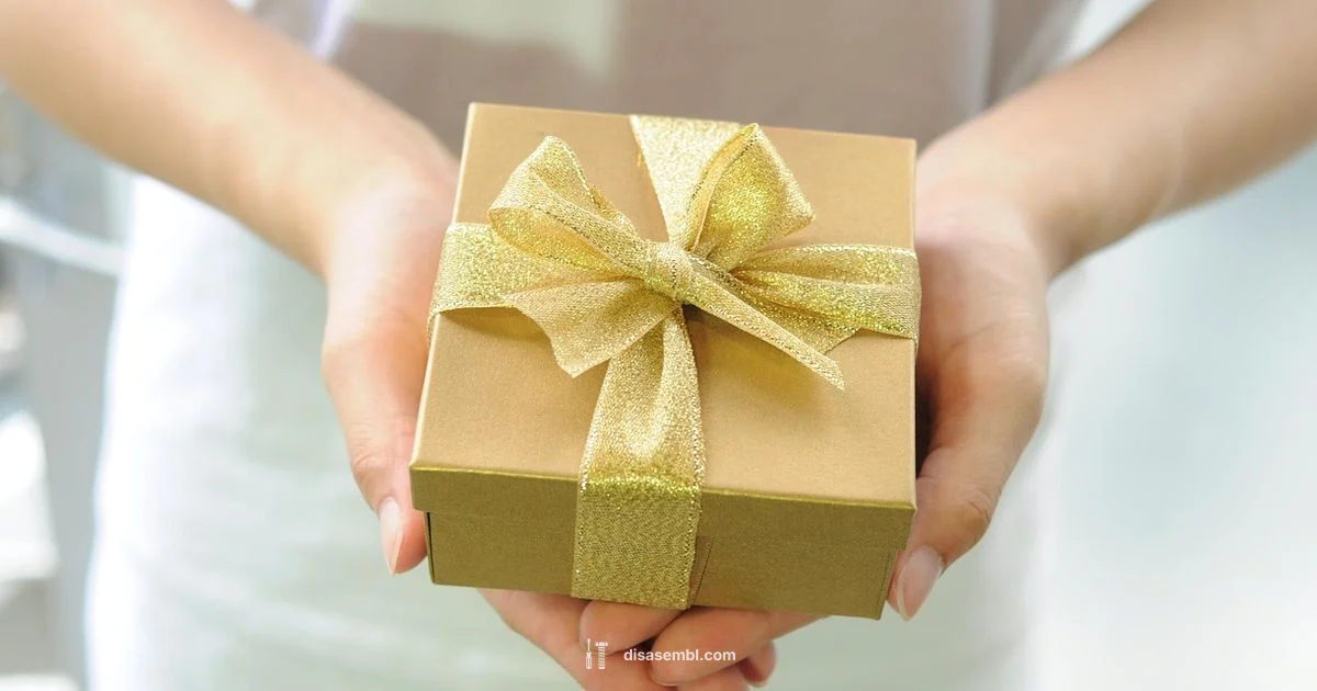 Wondershop Gift Box Assembly - Disasembl