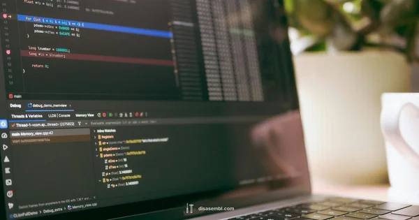 Check Build Tools - Disasembl