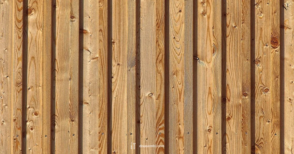 Disassembly in Action - Disasembl