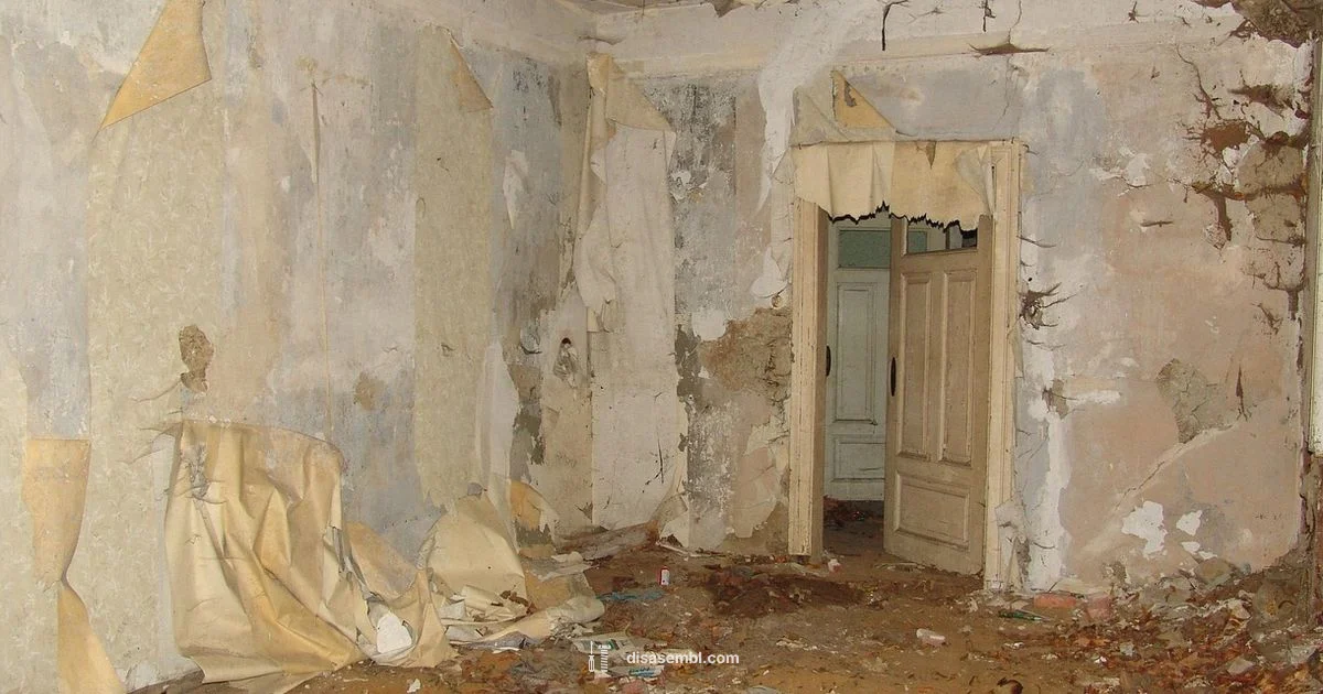 Permit Insights Permit Insights - Disasembl