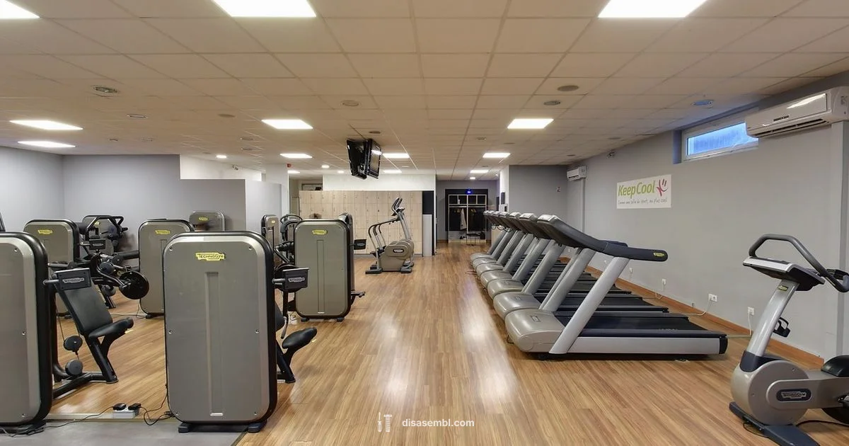 Treadmill Disassembly - Disasembl