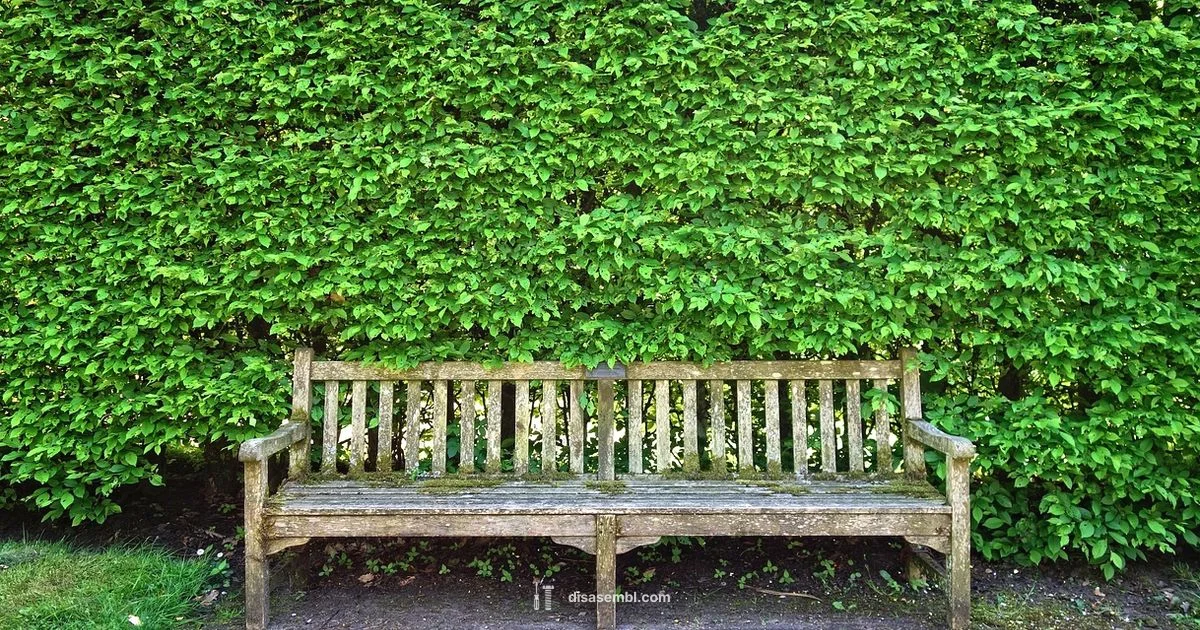 Disassemble & Assemble - Disasembl