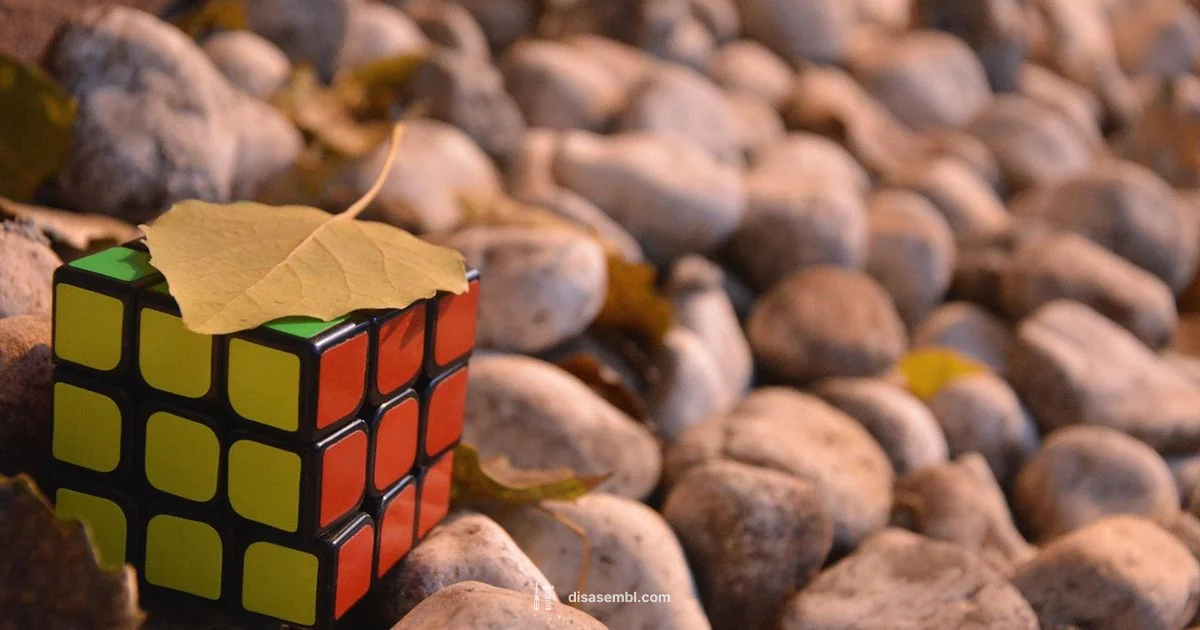 Disassembled Rubik's Cube Disassembled Rubik's Cube - Disasembl