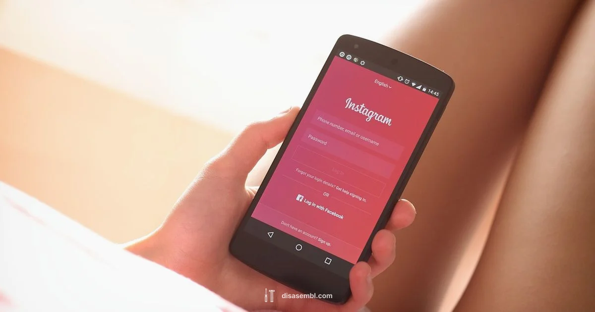 Open Instagram Session Open Instagram Session - Disasembl