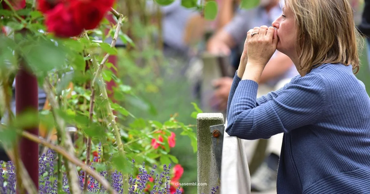 Assemblies of God Overview Assemblies of God Overview - Disasembl