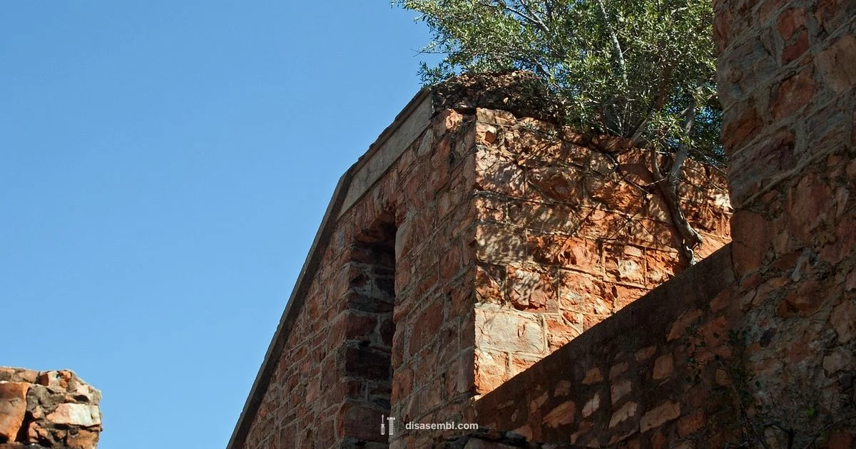 Wonderboom 2 Teardown - Disasembl