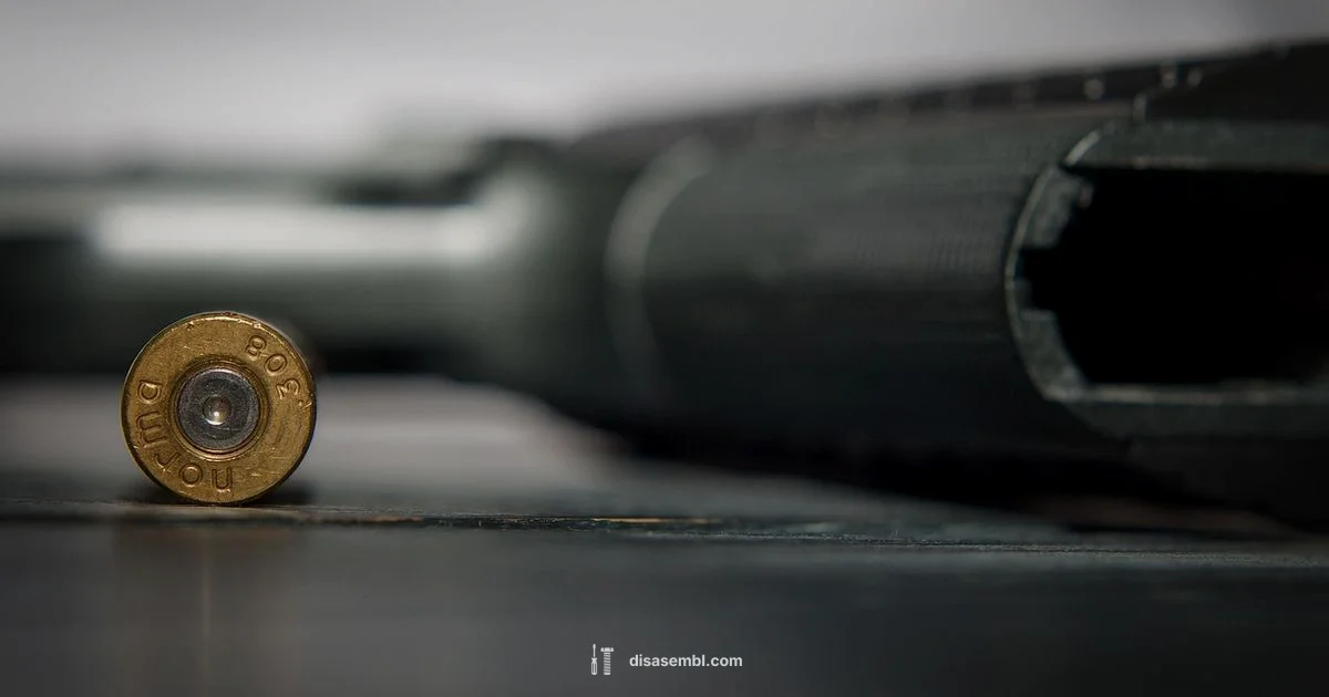 Safe Firearm Cleaning - Disasembl