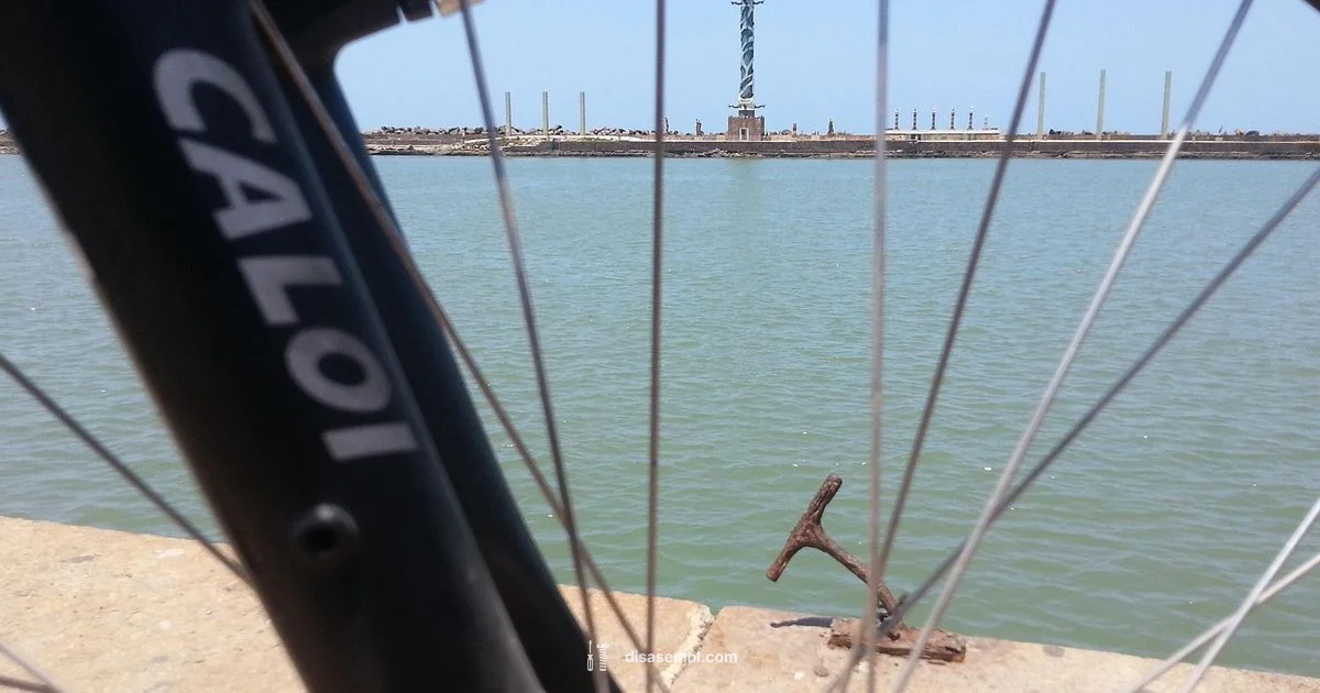 Bike Assembly Guide Bike Assembly Guide - Disasembl