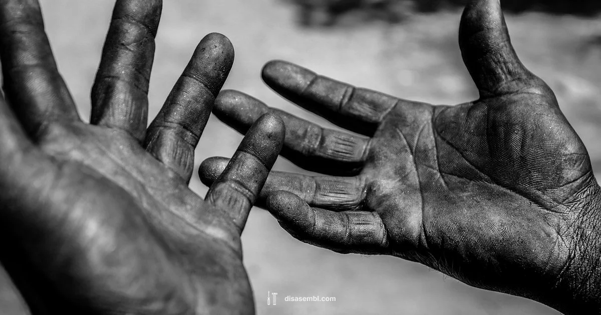 Assembly Jobs Guide - Disasembl