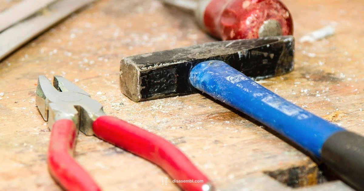 Disassembly Basics Disassembly Basics - Disasembl