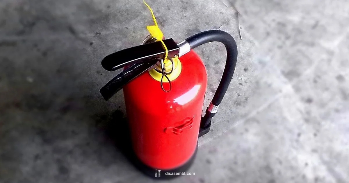 Disassembly Safety Guide Disassembly Safety Guide - Disasembl