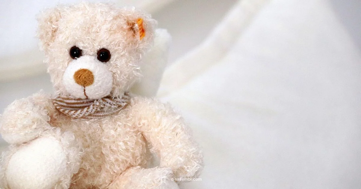 Bear Washing Guide - Disasembl