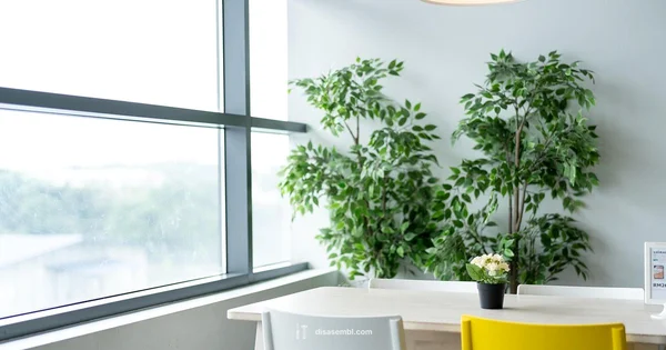 Assembled Options at IKEA - Disasembl