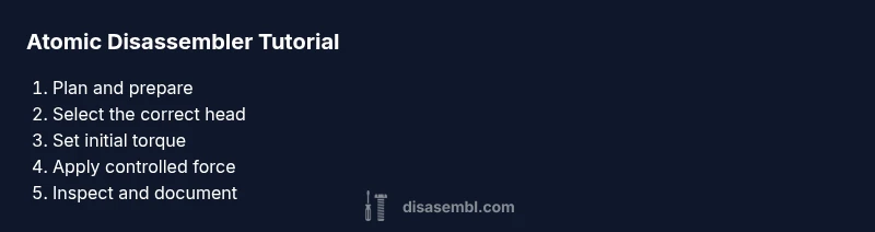Tailored process infographic for using the atomic disassembler