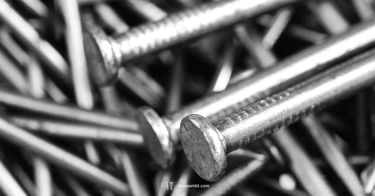 Disassembly Mastery - Disasembl