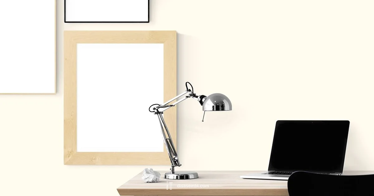 Understanding Assemblers - Disasembl