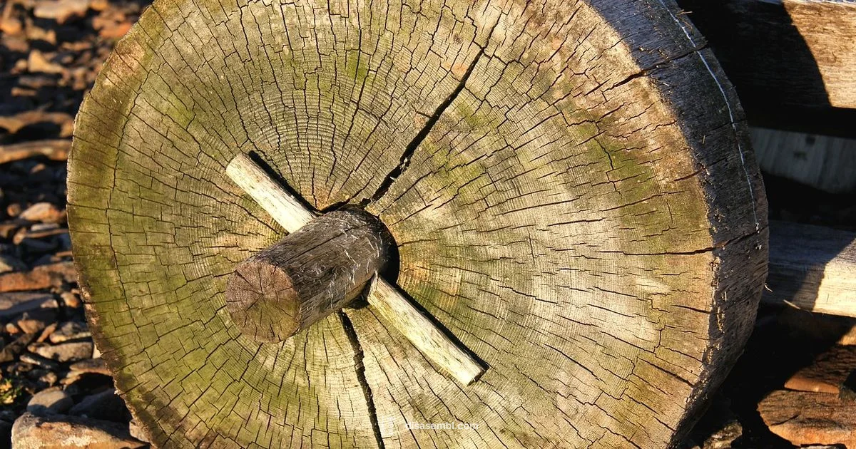 Hub Assembly Diagnostics - Disasembl