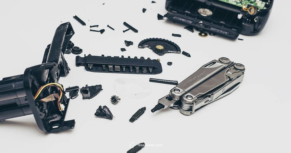 Disassemble with Confidence - Disasembl