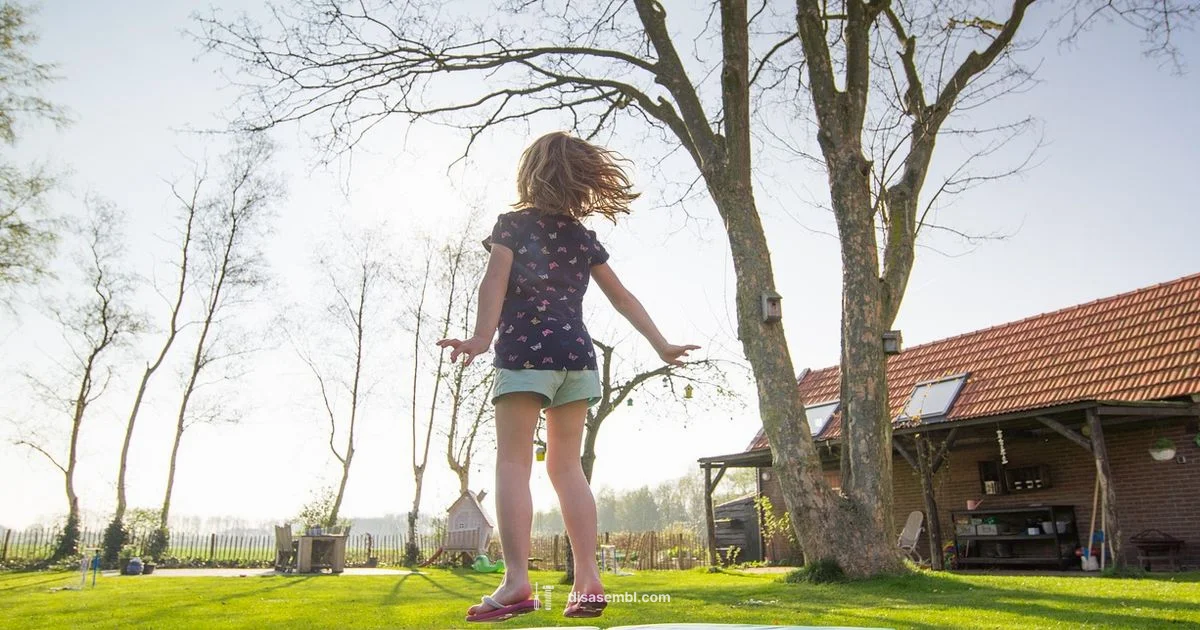 Safe Trampoline Disassembly - Disasembl