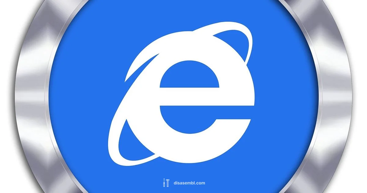 Open Internet Explorer - Disasembl
