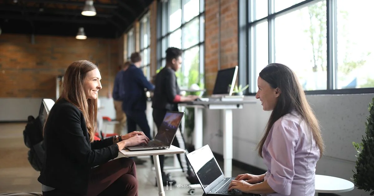 Disassemble HP Stand - Disasembl