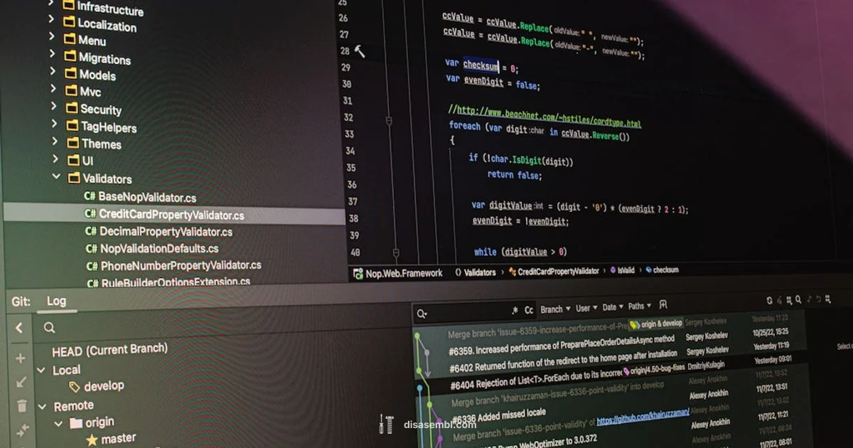 24h2 Build Number - Disasembl