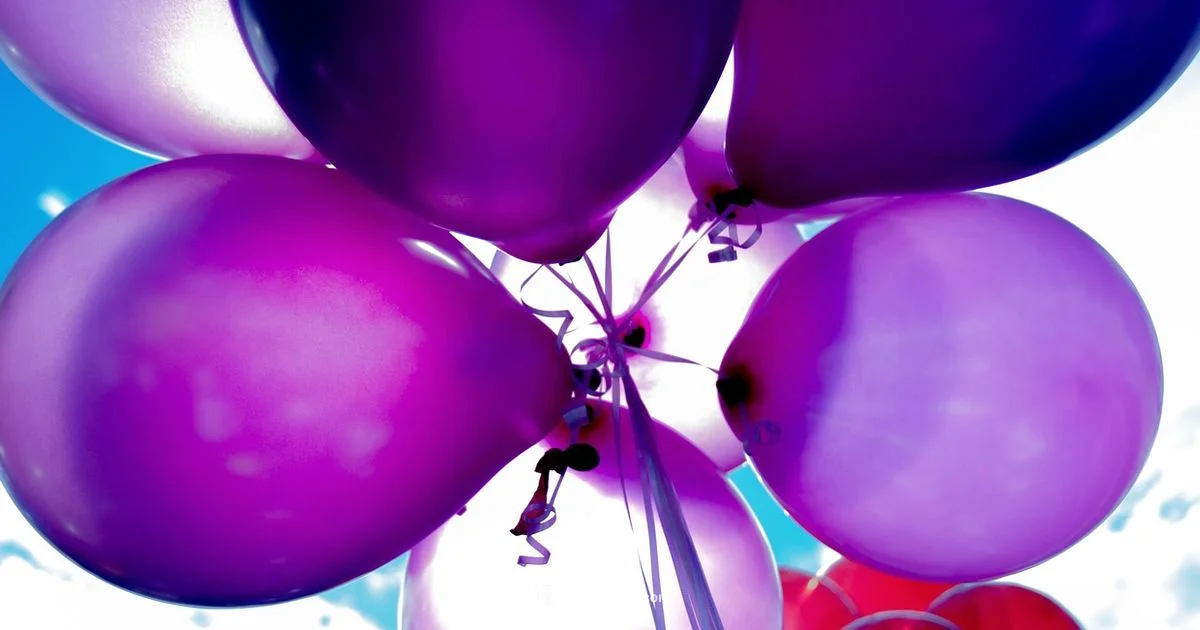 Bear Birthday Party - Disasembl