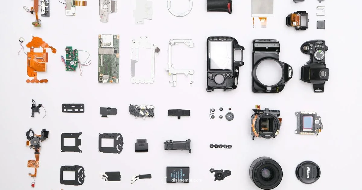 Disassembly in Spanish - Disasembl