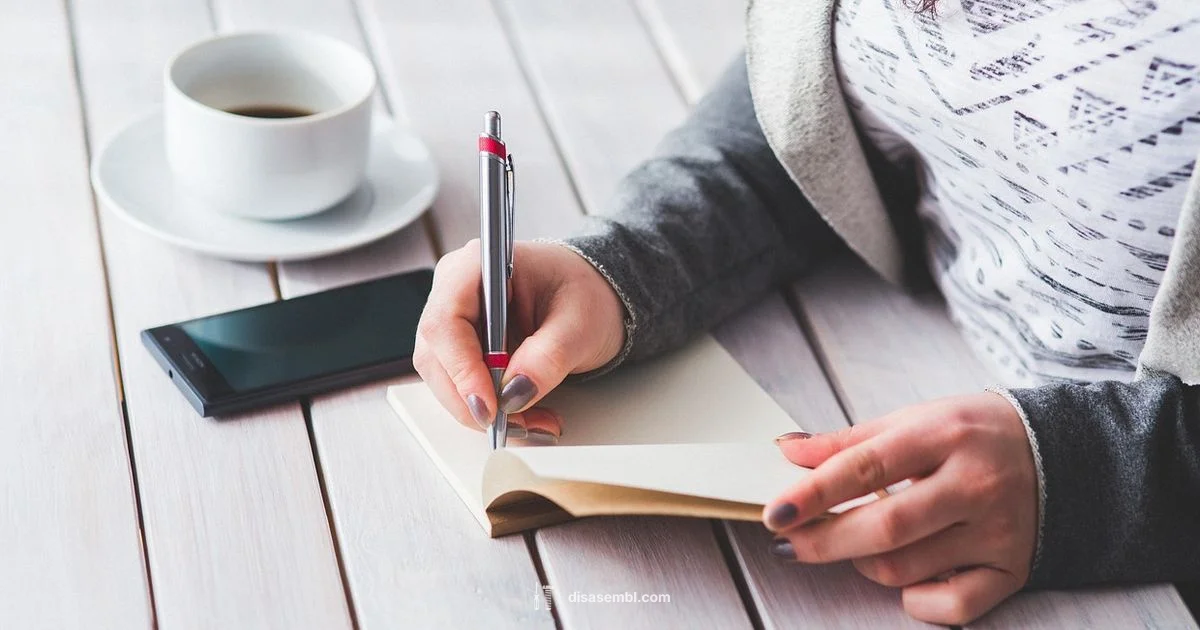 Sentence Assembly Guide - Disasembl