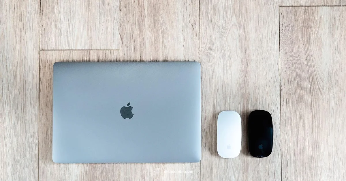 Laptop Disassembly Safe - Disasembl