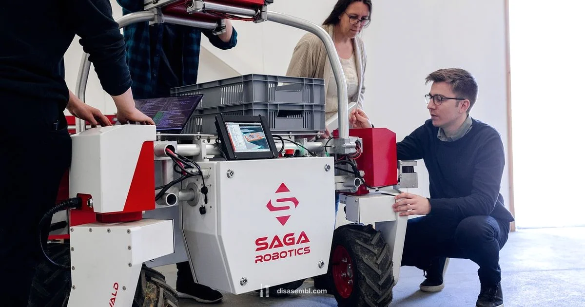 Assembly vs C - Disasembl