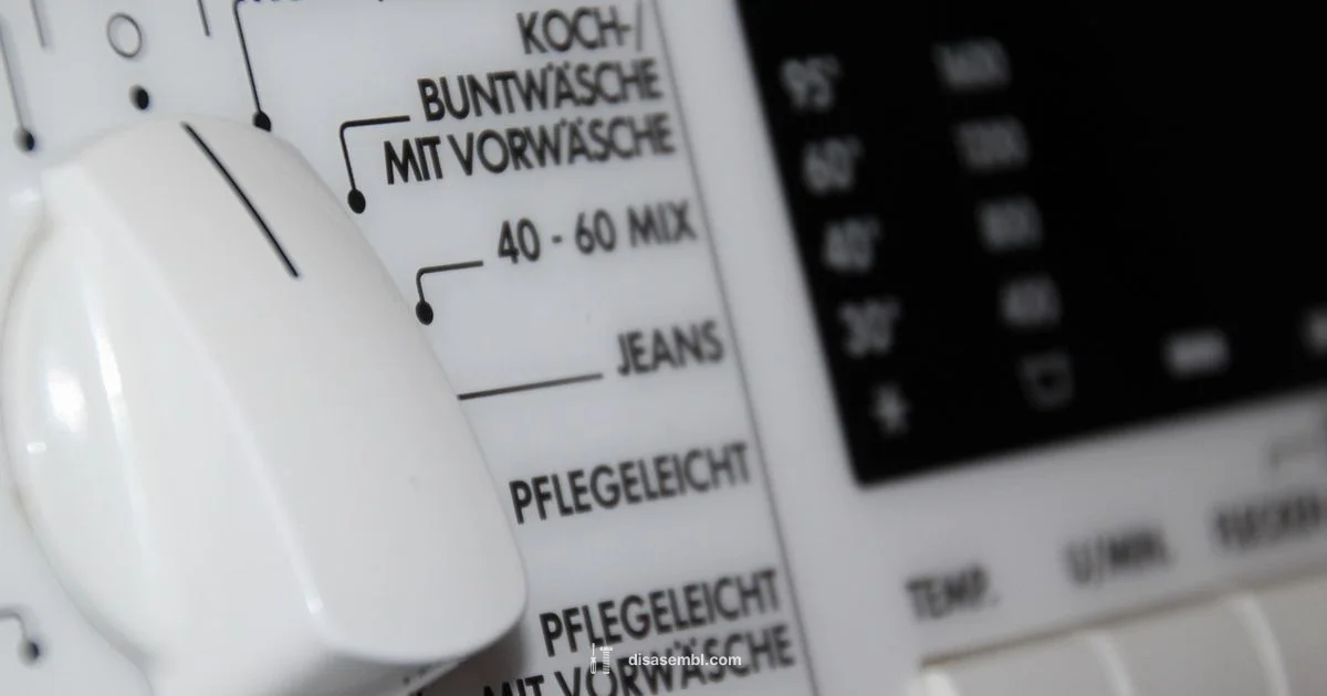 Wash G1 Disassembly - Disasembl