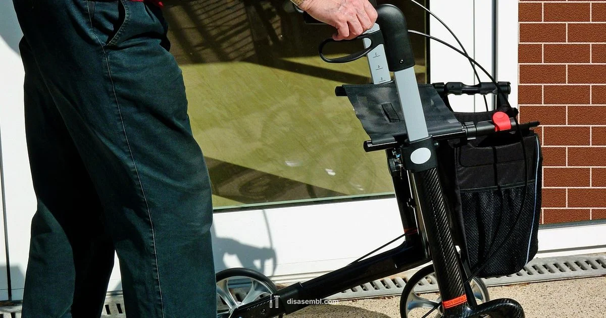 IRA in Retirement - Disasembl